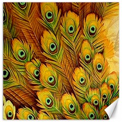 Peacock Feathers Green Yellow Canvas 20  X 20  by Bedest