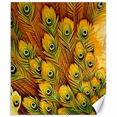 Peacock Feathers Green Yellow Canvas 20  X 24  by Bedest