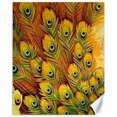 Peacock Feathers Green Yellow Canvas 11  X 14  by Bedest