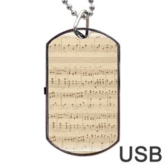 Vintage Beige Music Notes Dog Tag Usb Flash (two Sides) by Cendanart