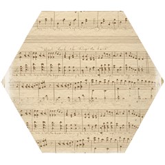 Vintage Beige Music Notes Wooden Puzzle Hexagon by Cendanart