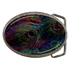 Peacock Feather Paradise Belt Buckles by Cendanart