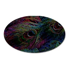 Peacock Feather Paradise Oval Magnet by Cendanart