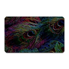 Peacock Feather Paradise Magnet (rectangular) by Cendanart