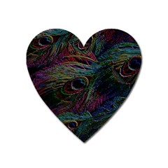 Peacock Feather Paradise Heart Magnet by Cendanart