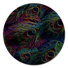 Peacock Feather Paradise Magnet 5  (round) by Cendanart