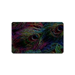 Peacock Feather Paradise Magnet (name Card) by Cendanart