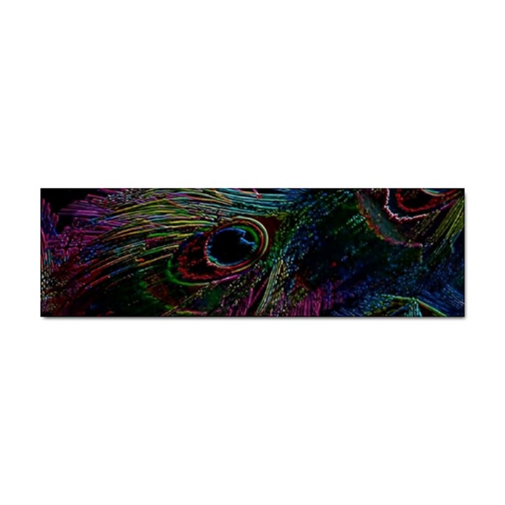 Peacock Feather Paradise Sticker Bumper (10 pack)