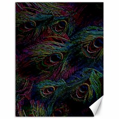 Peacock Feather Paradise Canvas 12  X 16  by Cendanart