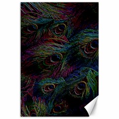 Peacock Feather Paradise Canvas 12  X 18  by Cendanart