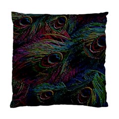 Peacock Feather Paradise Standard Cushion Case (one Side) by Cendanart