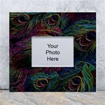 Peacock Feather Paradise White Wall Photo Frame 5  x 7  Front