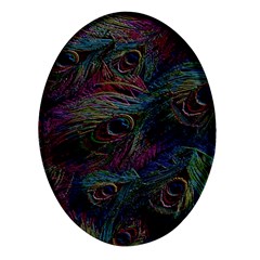 Peacock Feather Paradise Oval Glass Fridge Magnet (4 Pack) by Cendanart