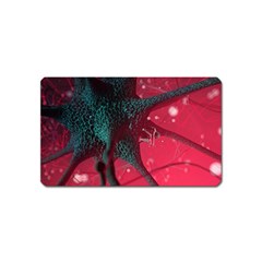 Coronavirus Corona Virus Magnet (name Card) by Cemarart