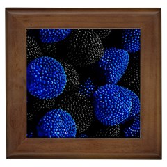 Raspberry One Edge Framed Tile by Cemarart