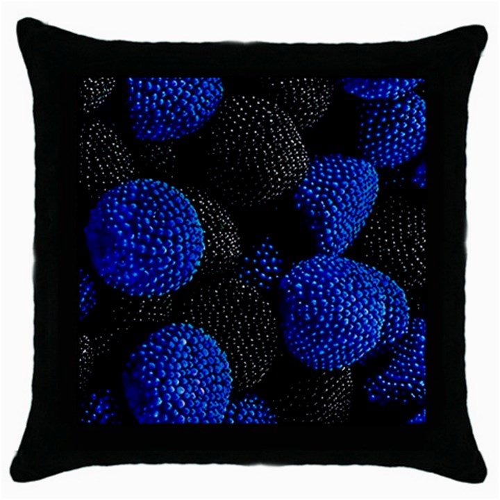 Raspberry One Edge Throw Pillow Case (Black)