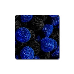 Raspberry One Edge Square Magnet by Cemarart