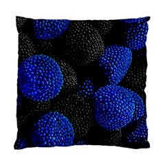 Raspberry One Edge Standard Cushion Case (one Side) by Cemarart