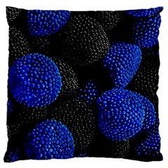 Raspberry One Edge Standard Premium Plush Fleece Cushion Case (two Sides) by Cemarart