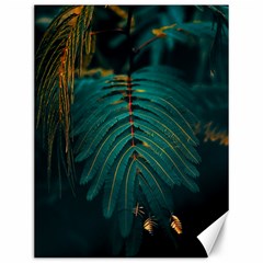 Dark Green Leaves Leaf Canvas 12  X 16  by Cemarart