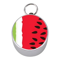 Watermelon Black Green Melon Red Mini Silver Compasses by Cemarart