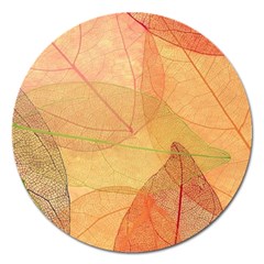 Leaves Patterns Colorful Leaf Pattern Magnet 5  (round) by Cemarart