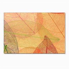 Leaves Patterns Colorful Leaf Pattern Postcard 4 x 6  (pkg Of 10) by Cemarart