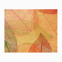 Leaves Patterns Colorful Leaf Pattern Small Glasses Cloth