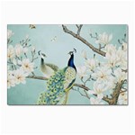 Couple Peacock Bird Spring White Blue Art Magnolia Fantasy Flower Postcard 4 x 6  (Pkg of 10) Front