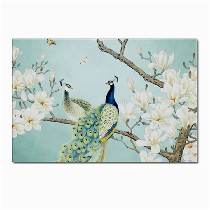 Couple Peacock Bird Spring White Blue Art Magnolia Fantasy Flower Postcard 4 x 6  (Pkg of 10)