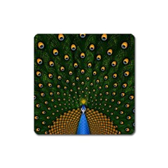 Peacock Feathers Tail Green Beautiful Bird Square Magnet by Ndabl3x