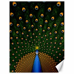 Peacock Feathers Tail Green Beautiful Bird Canvas 12  X 16  by Ndabl3x