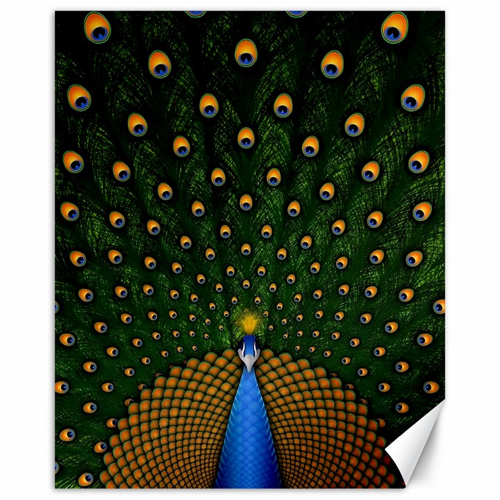 Peacock Feathers Tail Green Beautiful Bird Canvas 16  x 20 