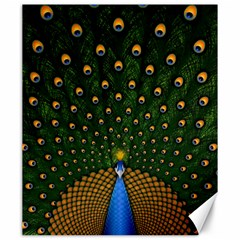 Peacock Feathers Tail Green Beautiful Bird Canvas 20  X 24  by Ndabl3x