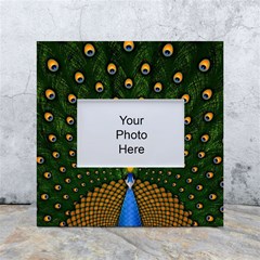 Peacock Feathers Tail Green Beautiful Bird White Box Photo Frame 4  X 6  by Ndabl3x