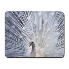 White Peacock Bird Small Mousepad by Ndabl3x