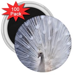 White Peacock Bird 3  Magnets (100 Pack) by Ndabl3x