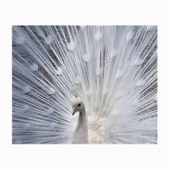 White Peacock Bird Small Glasses Cloth by Ndabl3x