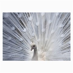 White Peacock Bird Large Glasses Cloth (2 Sides) by Ndabl3x