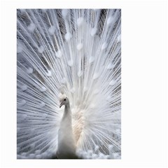 White Peacock Bird Small Garden Flag (two Sides) by Ndabl3x