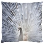 White Peacock Bird Large Cushion Case (One Side) Front