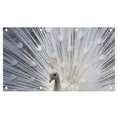 White Peacock Bird Banner And Sign 7  X 4  by Ndabl3x