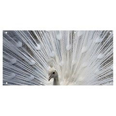 White Peacock Bird Banner And Sign 8  X 4  by Ndabl3x