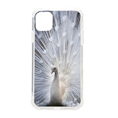 White Peacock Bird Iphone 11 Tpu Uv Print Case by Ndabl3x