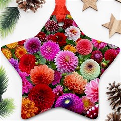 Flowers Colorful Garden Nature Ornament (star) by Ndabl3x