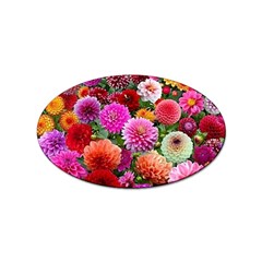 Flowers Colorful Garden Nature Sticker (oval) by Ndabl3x