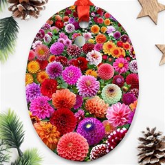 Flowers Colorful Garden Nature Oval Ornament (two Sides) by Ndabl3x