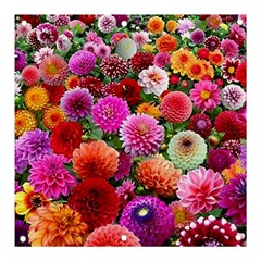 Flowers Colorful Garden Nature Banner And Sign 3  X 3  by Ndabl3x