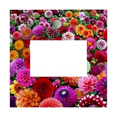 Flowers Colorful Garden Nature White Box Photo Frame 4  X 6 