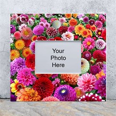 Flowers Colorful Garden Nature White Wall Photo Frame 5  X 7  by Ndabl3x